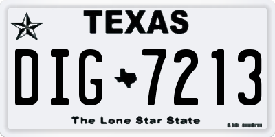 TX license plate DIG7213