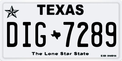 TX license plate DIG7289