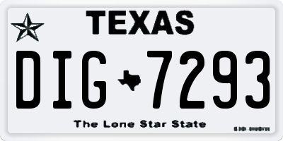 TX license plate DIG7293