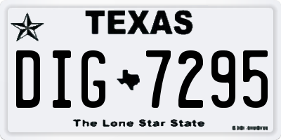 TX license plate DIG7295