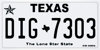 TX license plate DIG7303