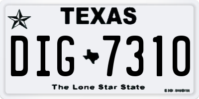 TX license plate DIG7310