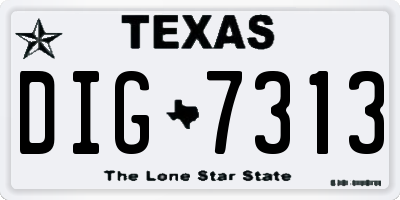 TX license plate DIG7313