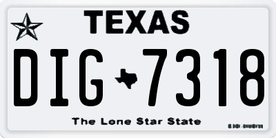 TX license plate DIG7318