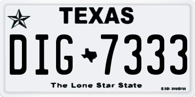 TX license plate DIG7333