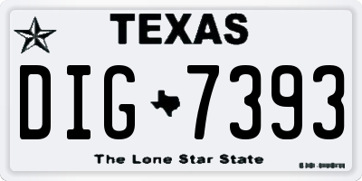 TX license plate DIG7393