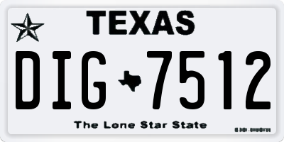 TX license plate DIG7512
