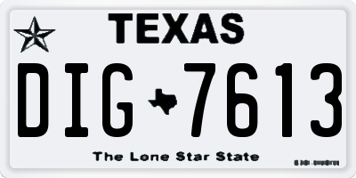 TX license plate DIG7613