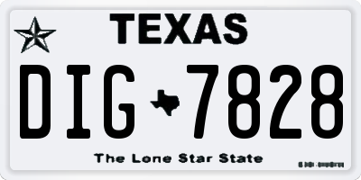 TX license plate DIG7828
