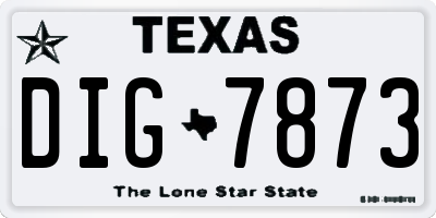 TX license plate DIG7873