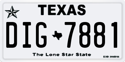 TX license plate DIG7881