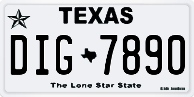 TX license plate DIG7890