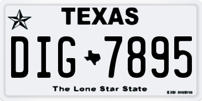 TX license plate DIG7895
