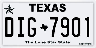TX license plate DIG7901