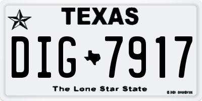 TX license plate DIG7917