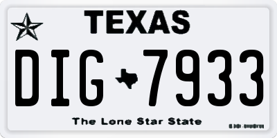 TX license plate DIG7933