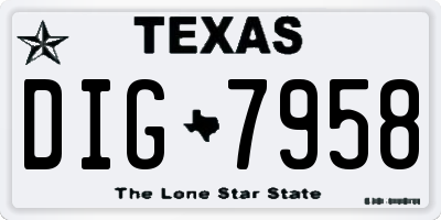 TX license plate DIG7958