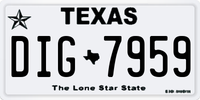TX license plate DIG7959