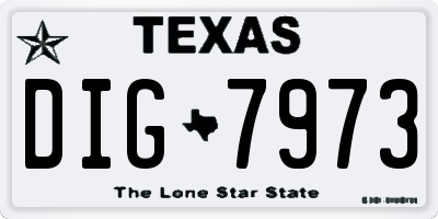 TX license plate DIG7973