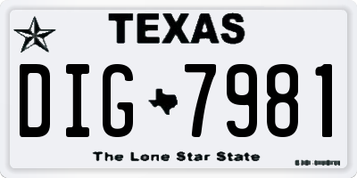 TX license plate DIG7981