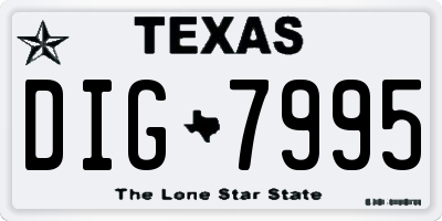 TX license plate DIG7995
