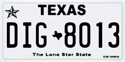 TX license plate DIG8013