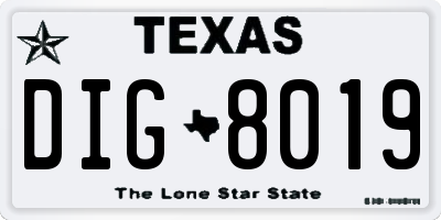 TX license plate DIG8019