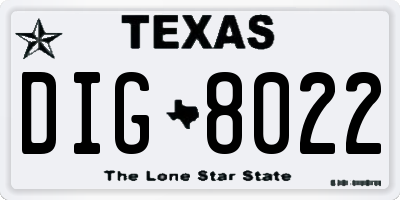 TX license plate DIG8022