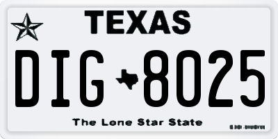 TX license plate DIG8025