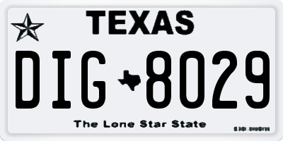 TX license plate DIG8029