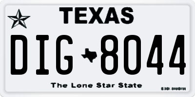 TX license plate DIG8044