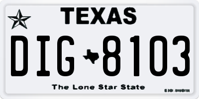 TX license plate DIG8103