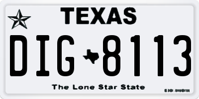 TX license plate DIG8113