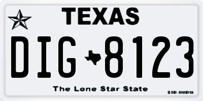 TX license plate DIG8123