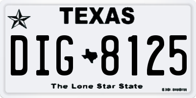 TX license plate DIG8125