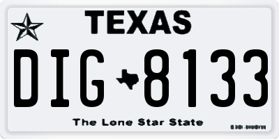 TX license plate DIG8133