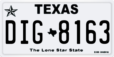 TX license plate DIG8163