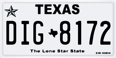 TX license plate DIG8172