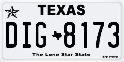 TX license plate DIG8173