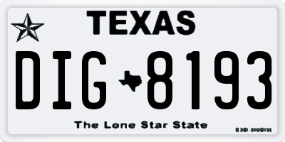 TX license plate DIG8193