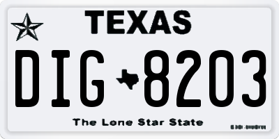 TX license plate DIG8203