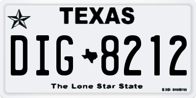 TX license plate DIG8212