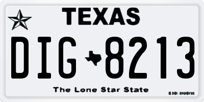 TX license plate DIG8213