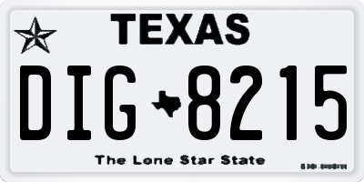TX license plate DIG8215