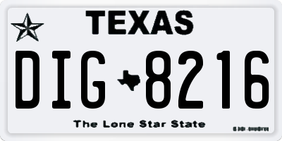TX license plate DIG8216