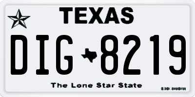 TX license plate DIG8219