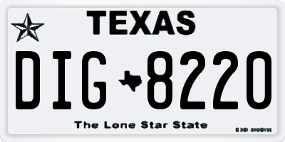 TX license plate DIG8220