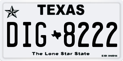TX license plate DIG8222