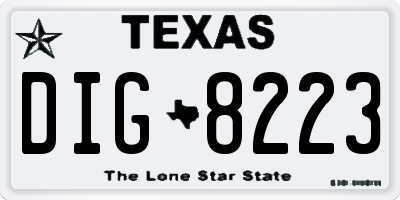 TX license plate DIG8223