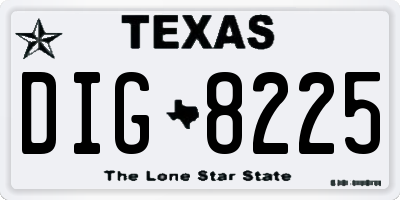 TX license plate DIG8225